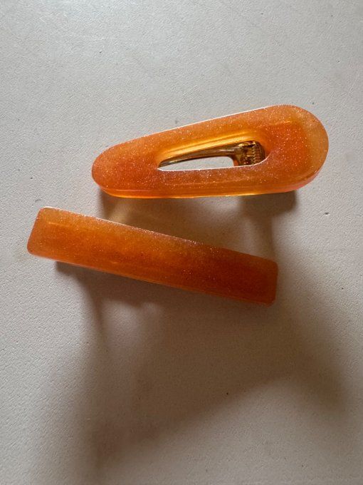 Barrettes 2 pièces