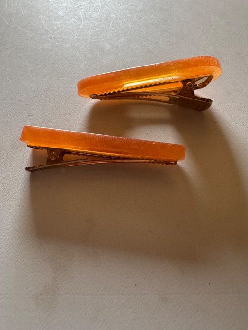 Barrettes 2 pièces