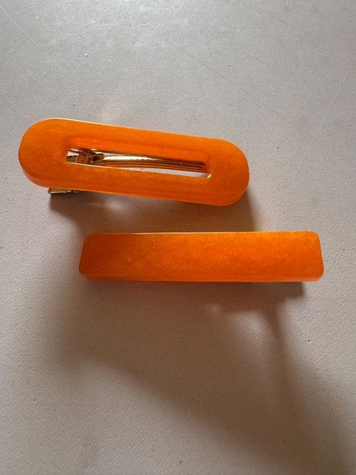 Barrettes 2 pièces
