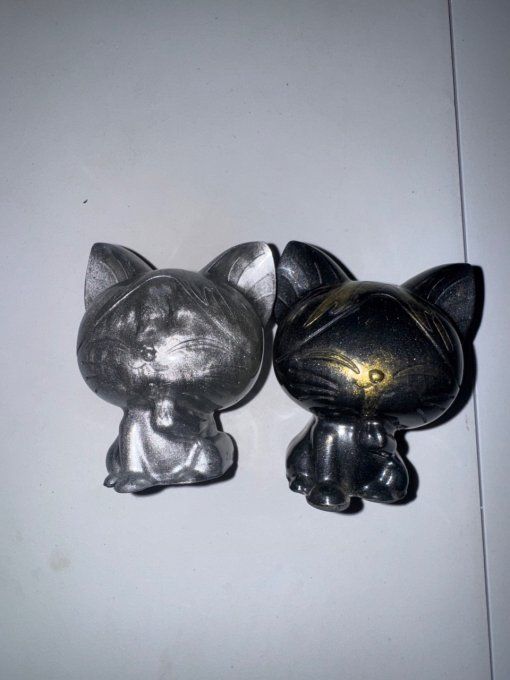 Chat assis