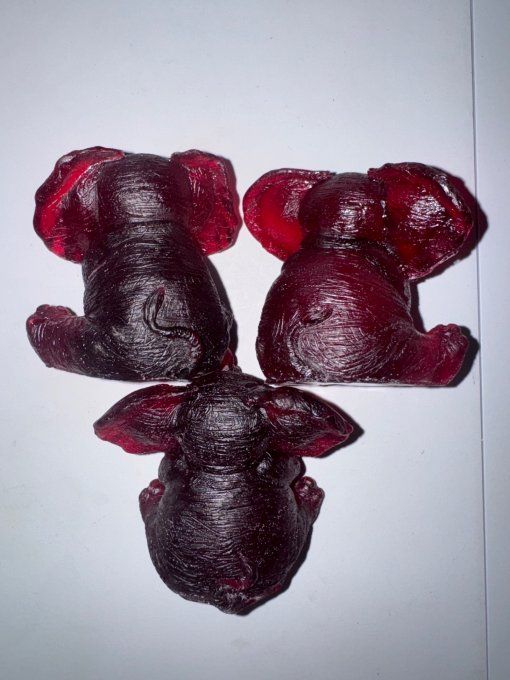 Trios d’éléphants
